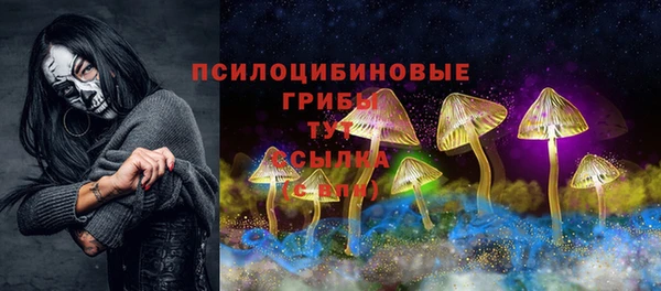 а пвп мука Бугульма