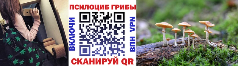 Псилоцибиновые грибы Magic Shrooms  Новоуральск 